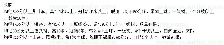求購紫葉李、銀杏、饅頭柳等
