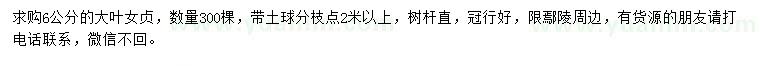 求購6公分大葉女貞
