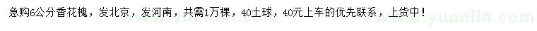 求購6公分香花槐