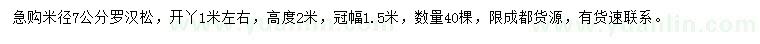 求購米徑7公分羅漢松