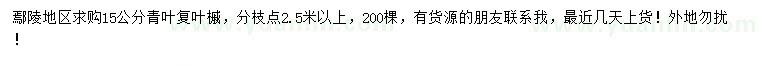 求購(gòu)15公分青葉復(fù)葉槭