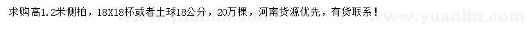 求購(gòu)高1.2米側(cè)柏