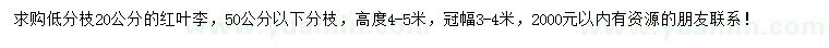 求購(gòu)20公分紅葉李