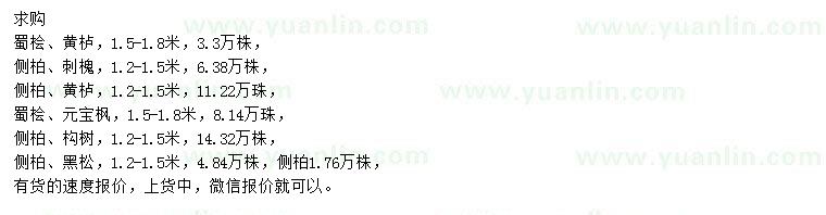 求購蜀檜、黃櫨、側(cè)柏等
