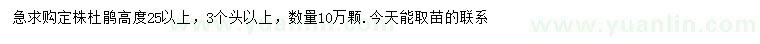 求購高25公分以上杜鵑
