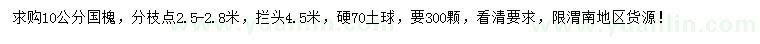 求購10公分國槐
