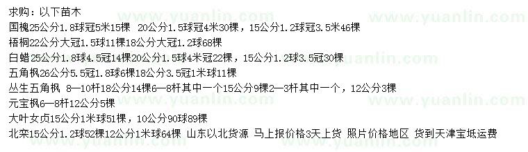 求購(gòu)國(guó)槐、梧桐、白蠟等
