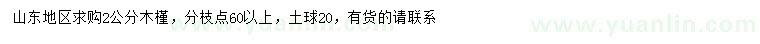 求購2公分木槿
