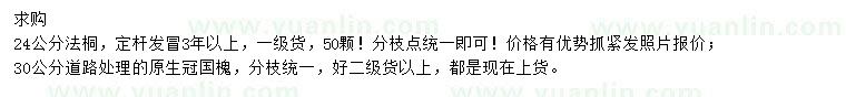 求購24公分法桐、30公分國槐
