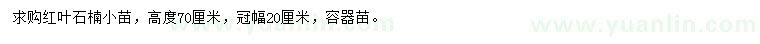求購高70公分紅葉石楠