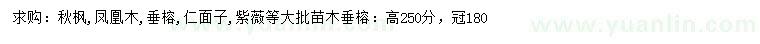 求購(gòu)秋楓、鳳凰木、垂榕等