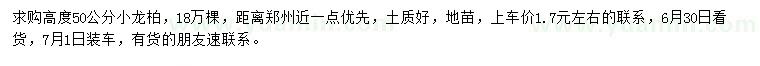 求購高50公分小龍柏