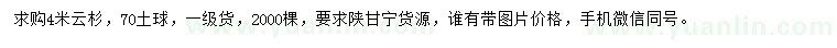 求購4米云杉
