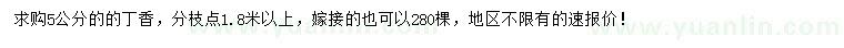 求購5公分丁香
