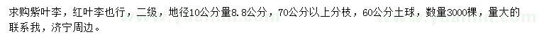 求購(gòu)地徑10公分量8.8公分紫葉李
