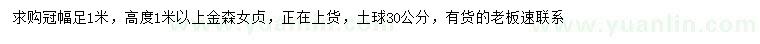 求購高度1米以上金森女貞