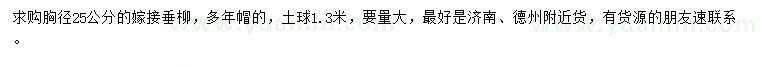 求購胸徑25公分嫁接垂柳
