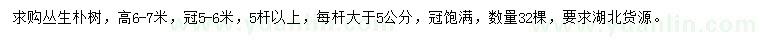 求購高6-7米叢生樸樹