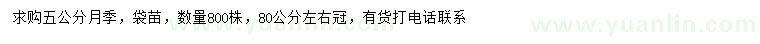 求購(gòu)5公分月季