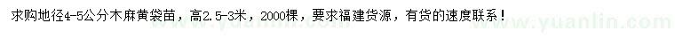 求購地徑4-5公分木麻黃