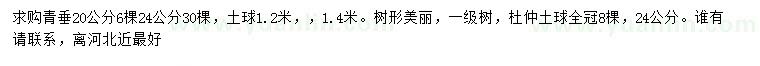 求購20、24公分青垂、24公分杜仲