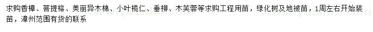 求購香樟、菩提榕、美麗異木棉等
