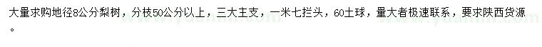 求購(gòu)地徑8公分梨樹(shù)