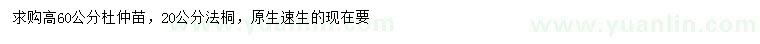 求購20公分法桐、60公分杜仲