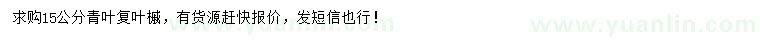 求購15公分青葉復(fù)葉槭