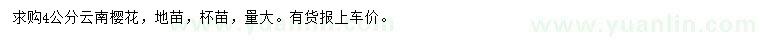 求購4公分云南櫻花
