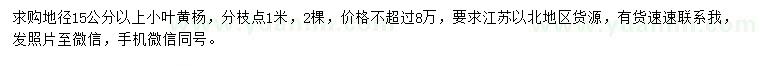 求購地徑15公分以上小葉黃楊