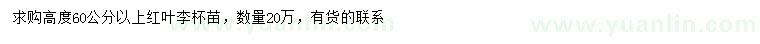 求購高60公分以上紅葉李