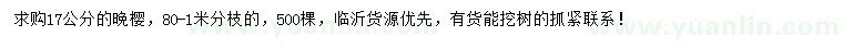 求購17公分晚櫻