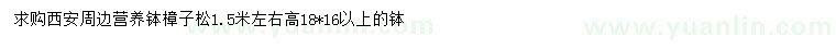 求購高1.5米樟子松