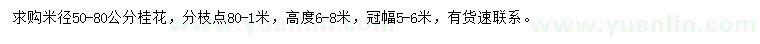 求購米徑50-80公分桂花
