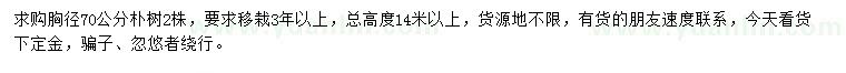 求購胸徑70公分樸樹