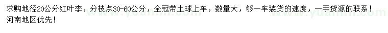 求購地徑20公分紅葉李