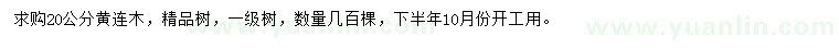 求購(gòu)20公分黃連木