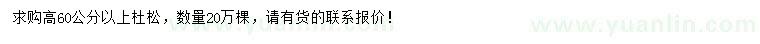 求購高60公分以上杜松