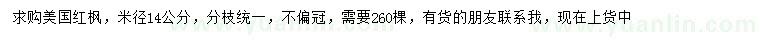 求購米徑14公分美國紅楓