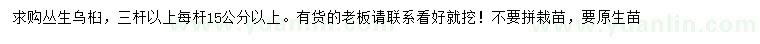 求購(gòu)15公分以上叢生烏桕