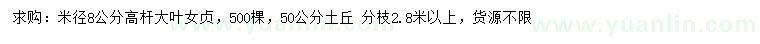 求購米徑8公分高桿大葉女貞