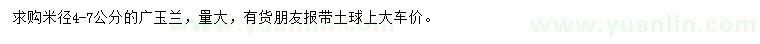 求購米徑4-7公分廣玉蘭