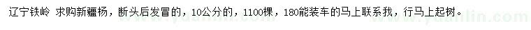 求購10公分新疆楊