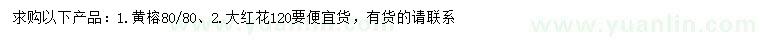 求購80公分黃榕、120公分大紅花