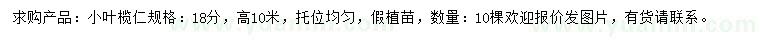 求購18公分小葉欖仁