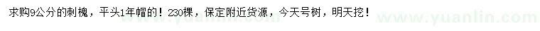 求購9公分刺槐