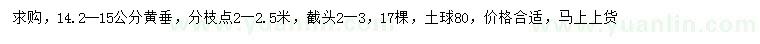 求購(gòu)14.2-15公分黃垂