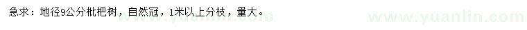 求購(gòu)地徑9公分枇杷