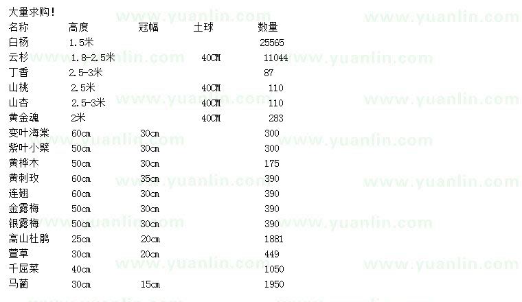 求購(gòu)白楊、云杉、丁香等